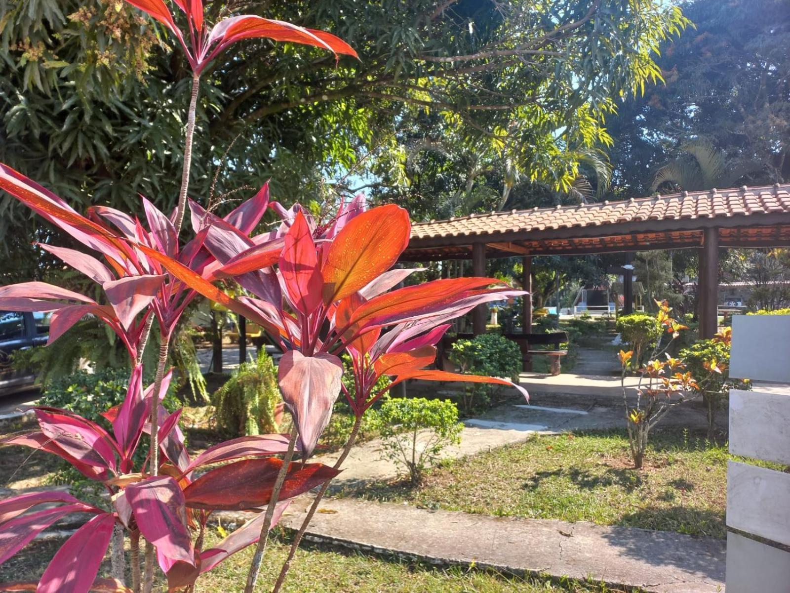 Comunidade Anuncia-me * Guaratingueta